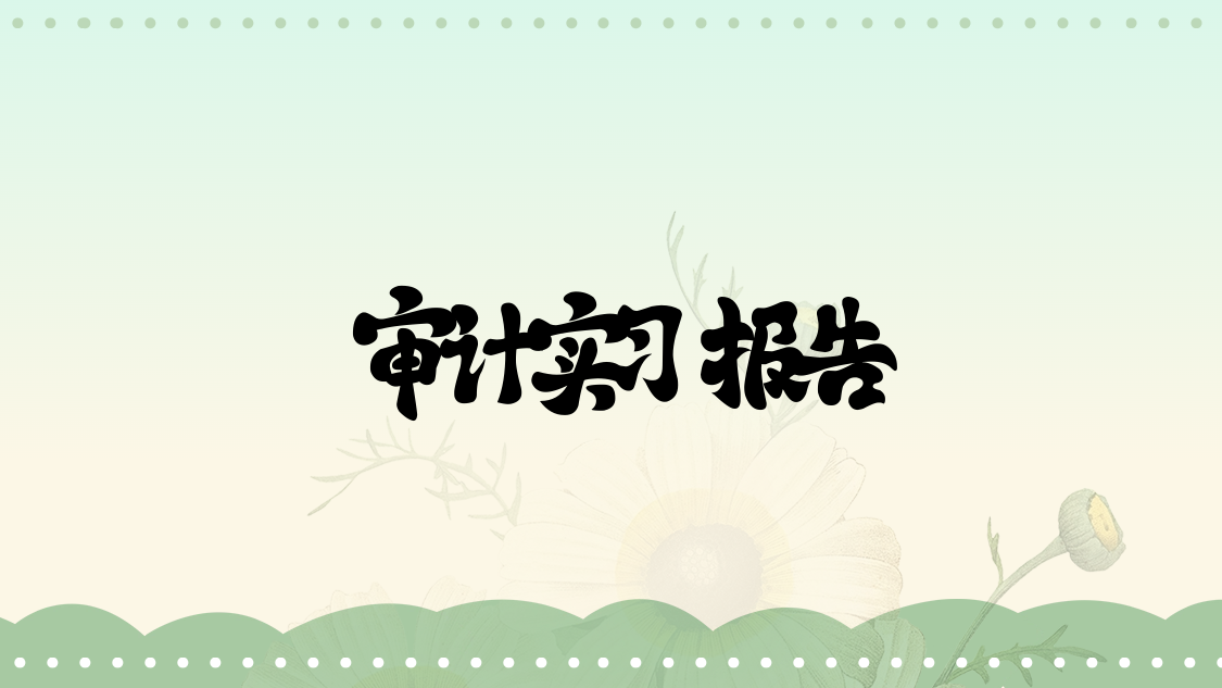 审计实习报告