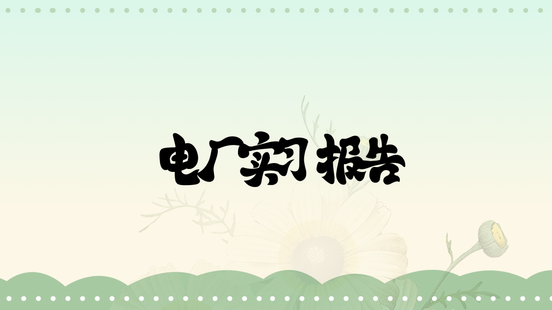 电厂实习报告